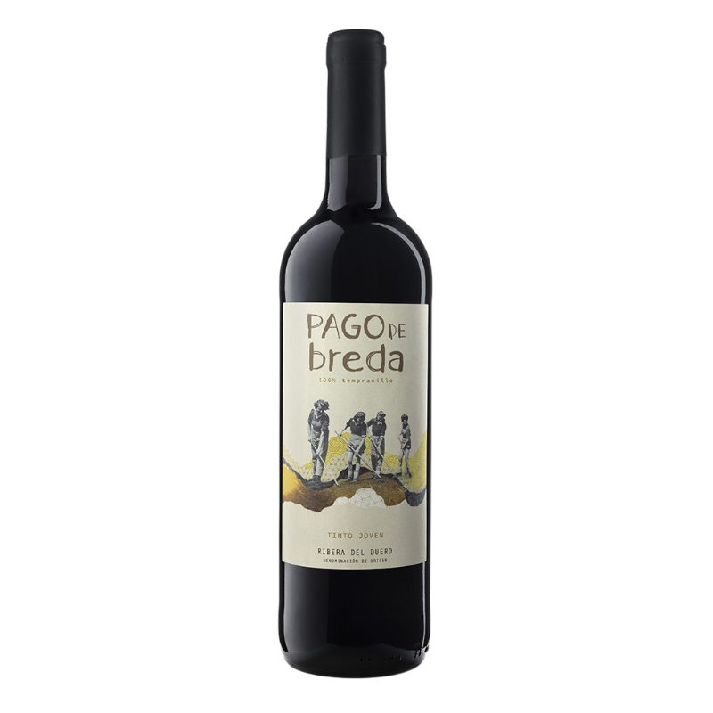 Vino Pago de Breda Joven