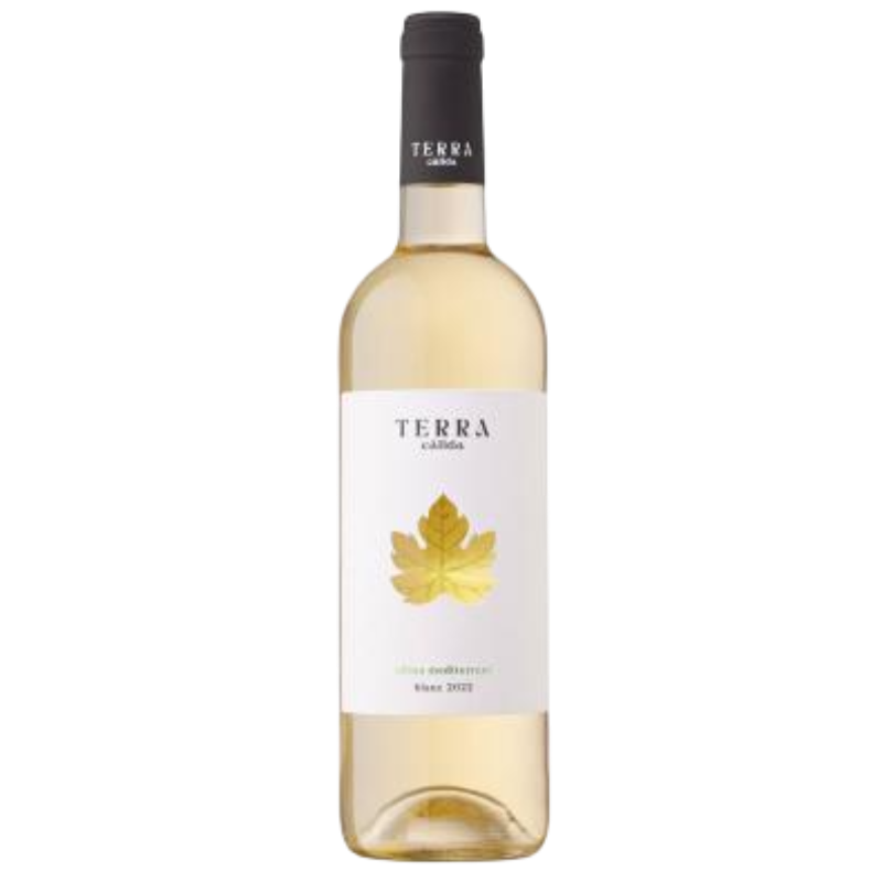 Vino Terra Calida Blanco