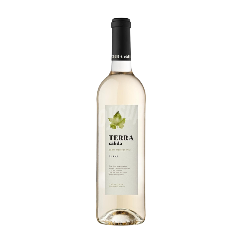 Terra Calida Blanco