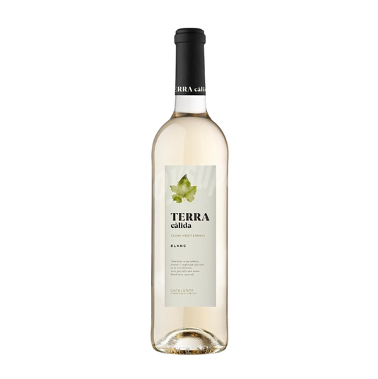 Terra Calida Blanco
