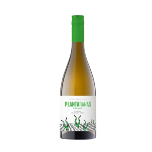Plantaranas Blanco